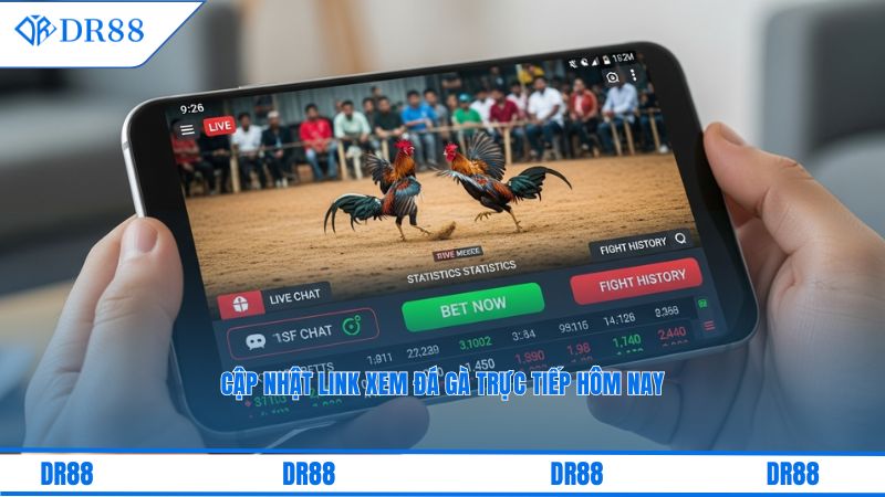 Cận cảnh các chiến kê đang thi đấu quyết liệt trên sàn đấu tại trường gà quốc tế.