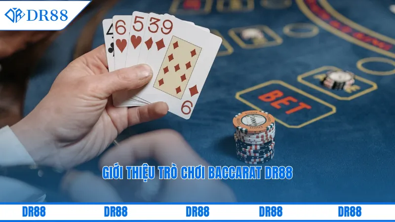 Giới thiệu trò chơi baccarat DR88