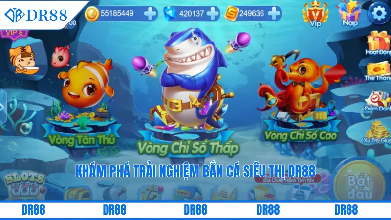 Khám phá trải nghiệm bắn cá siêu thị DR88