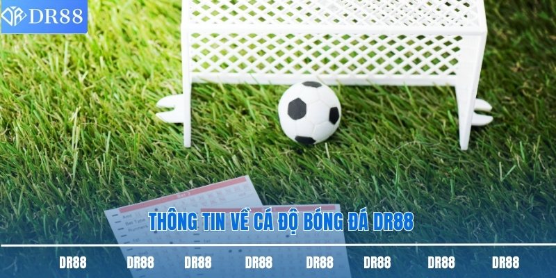 Thông tin về cá độ bóng đá DR88