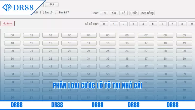 Dr88 Lô Tô Trúng Thưởng – Cơ Hội Đổi Vận Cực Hấp Dẫn 2 Phân loại cược lô tô tại nhà cái