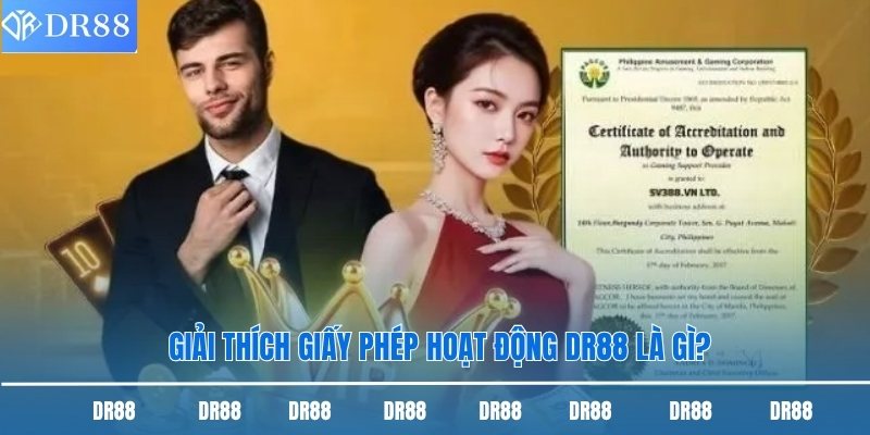 Giải thích giấy phép hoạt động DR88 là gì?