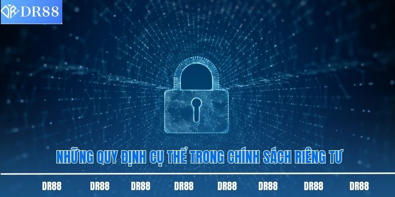 Những quy định cụ thể trong chính sách riêng tư